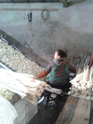 豆皮豆絲烘干機